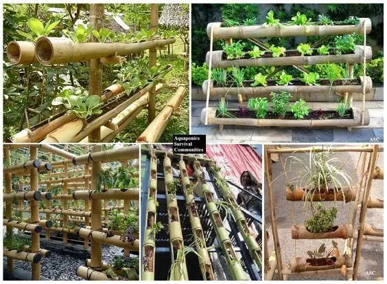 Bamboo Planter