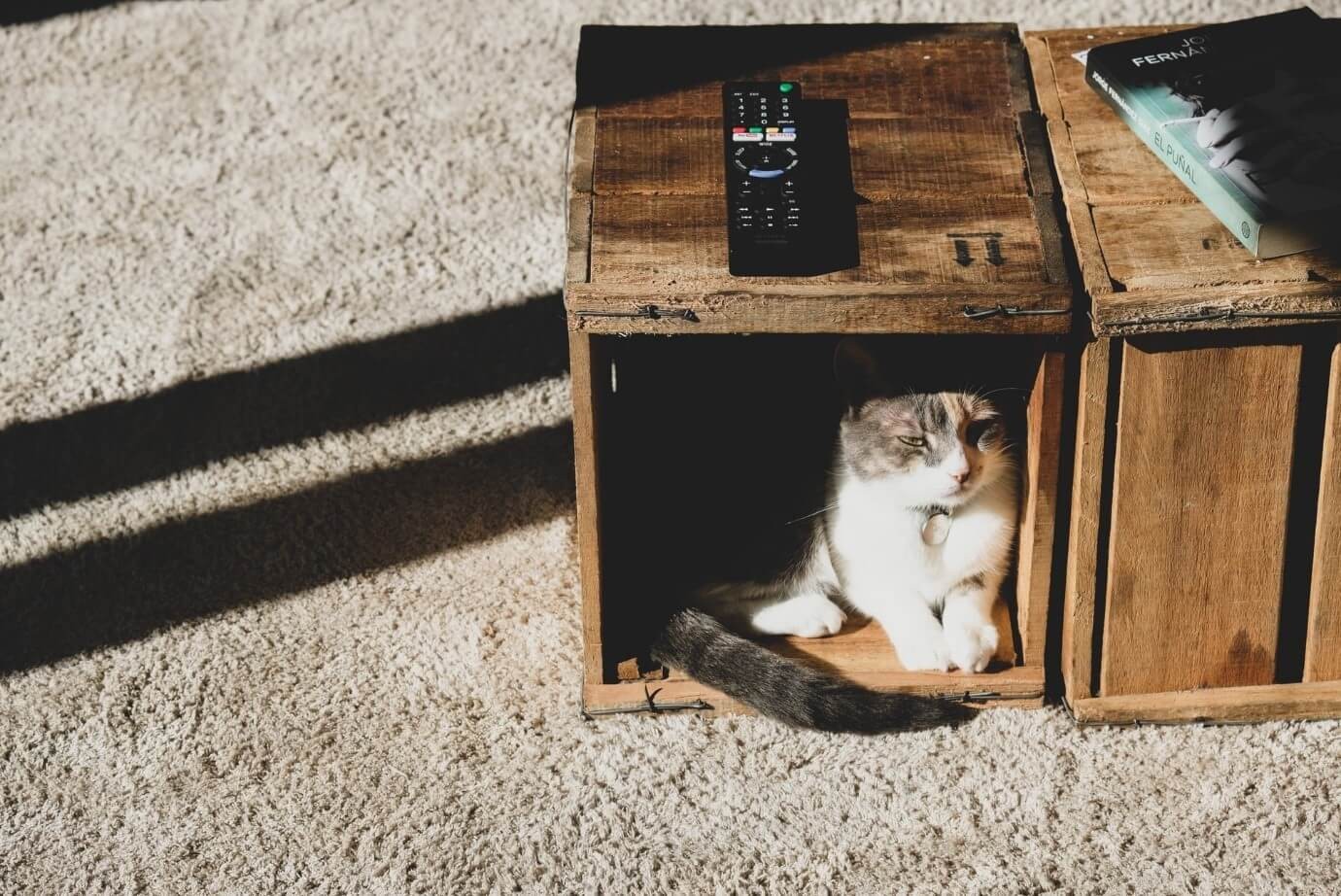 Cat House