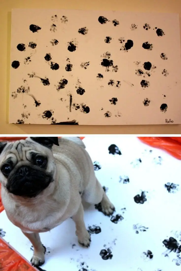 DIY paw painting art