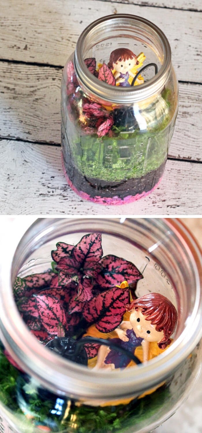 DIY Mason Jar Terrarium