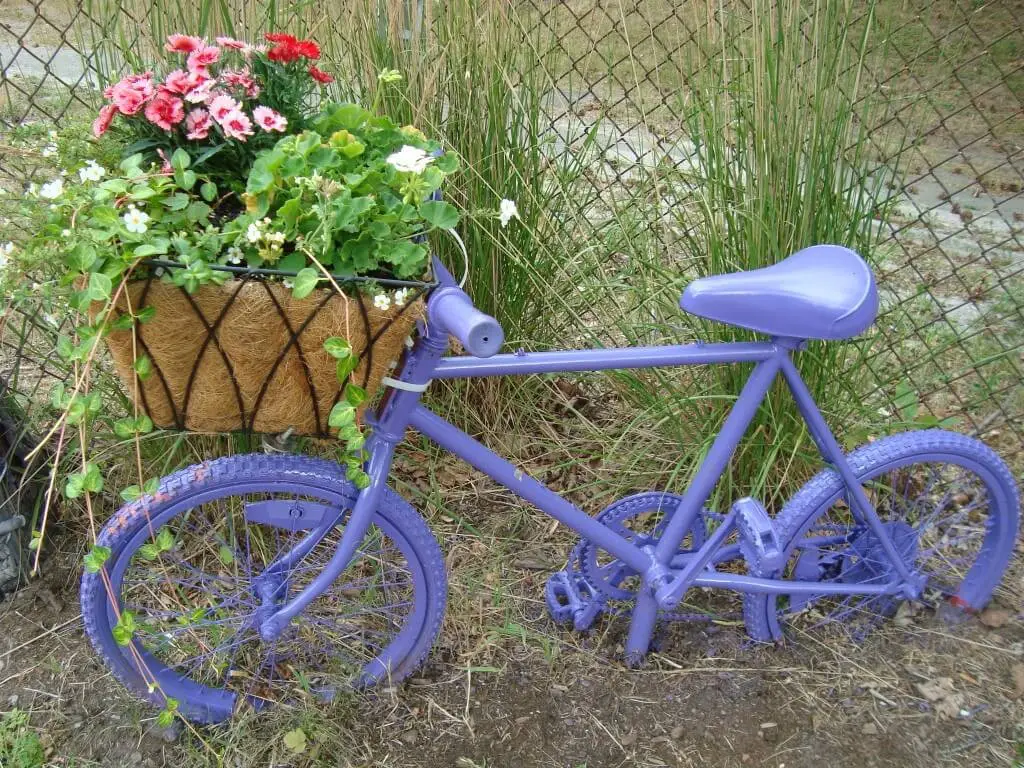 Purple Bike