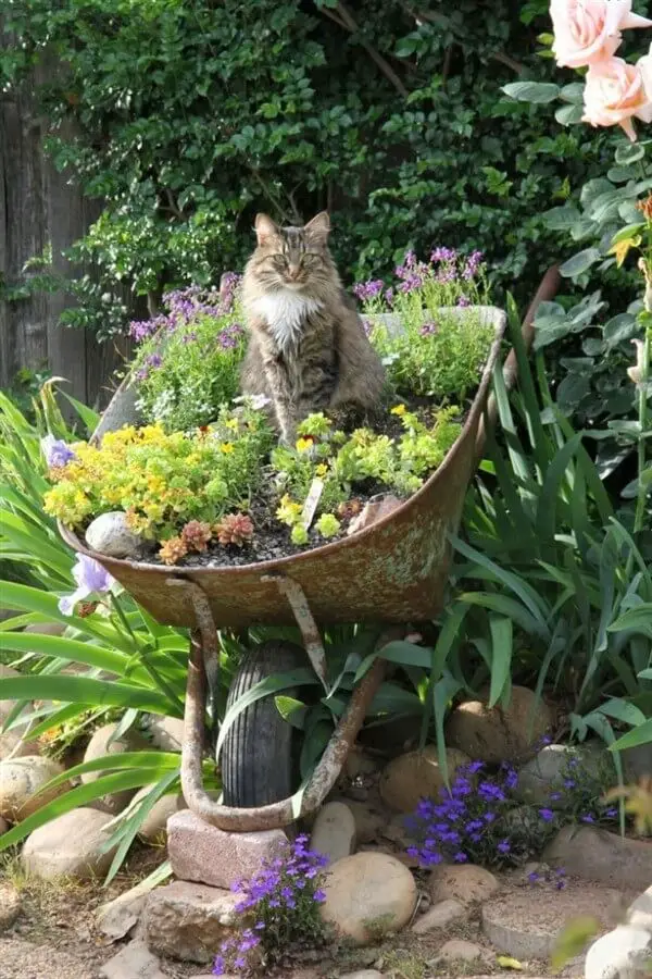 Wheelbarrow with a mini rain garden