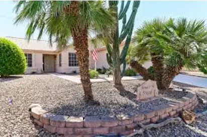 Palms and cobblestones