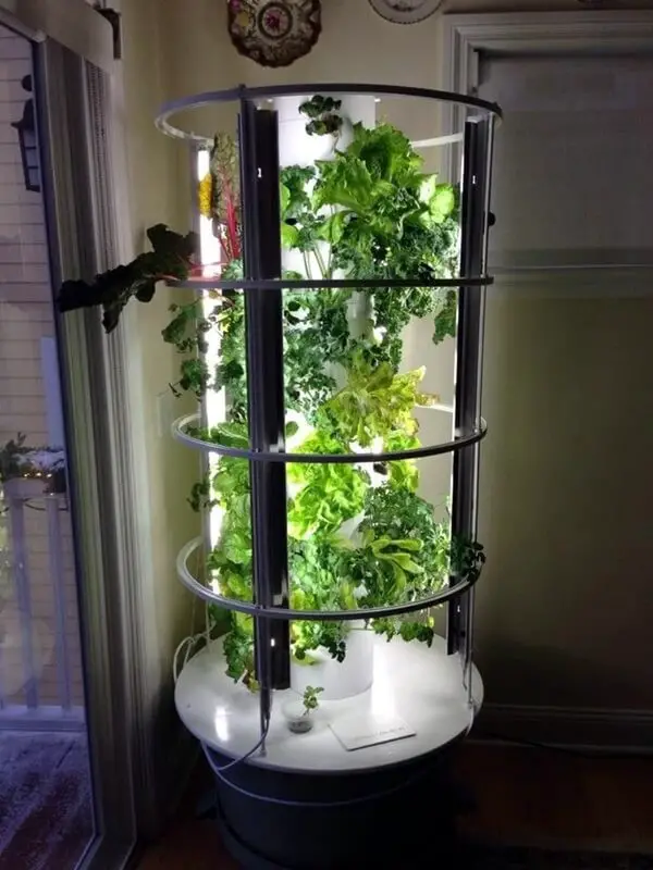 And many more indoor garden ideas…