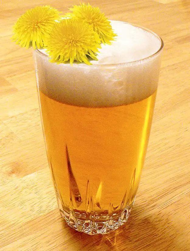 Dandelion Beer