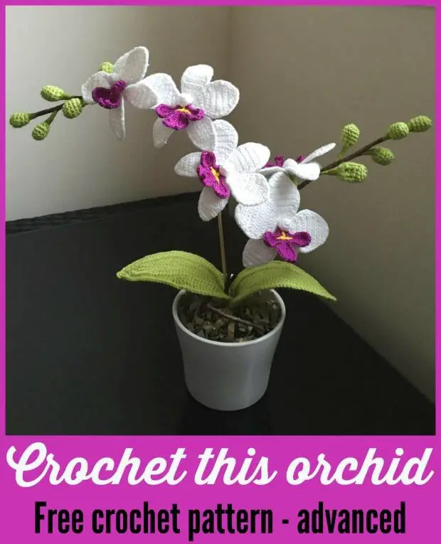 Crochet Orchid Flower Bouquet Pattern