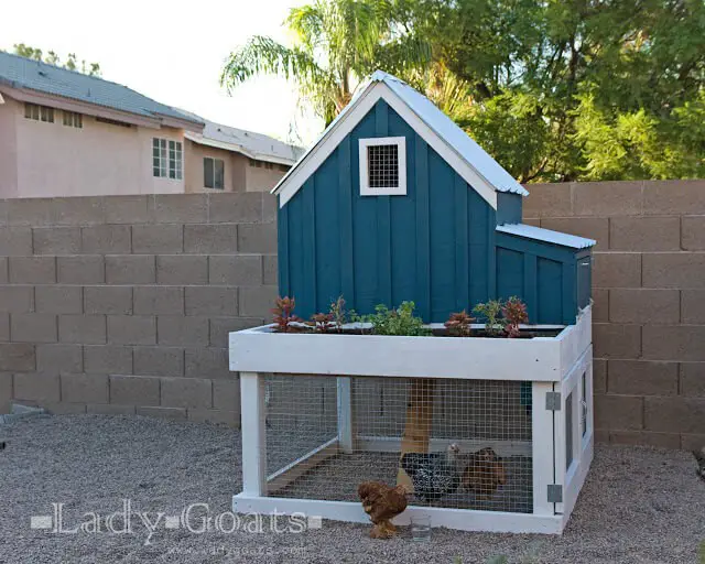 DIY Palace Chicken Coop Free Pattern