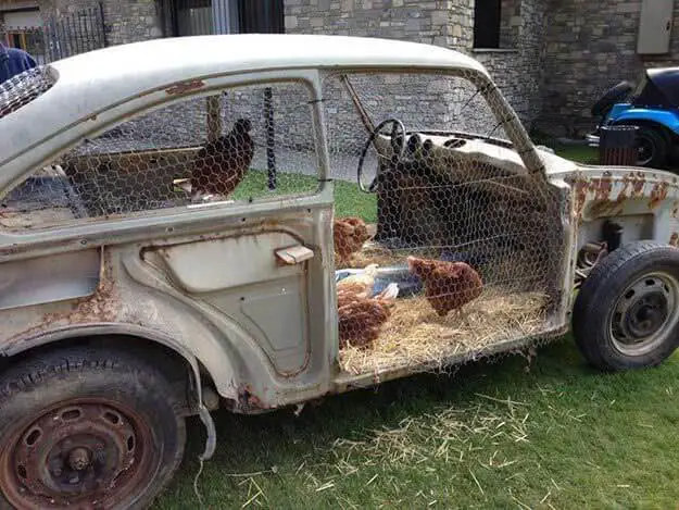 Makeover chicken coop