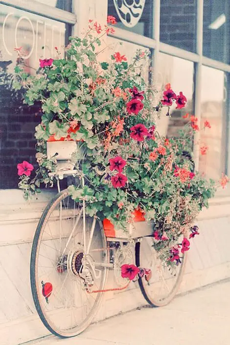 Bicycle With Just Tires Peeping Out