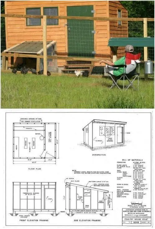 DIY Sunrise Chicken Coop