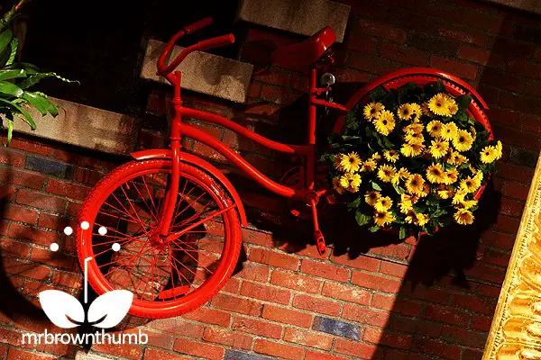 A charming antique bicycle planted