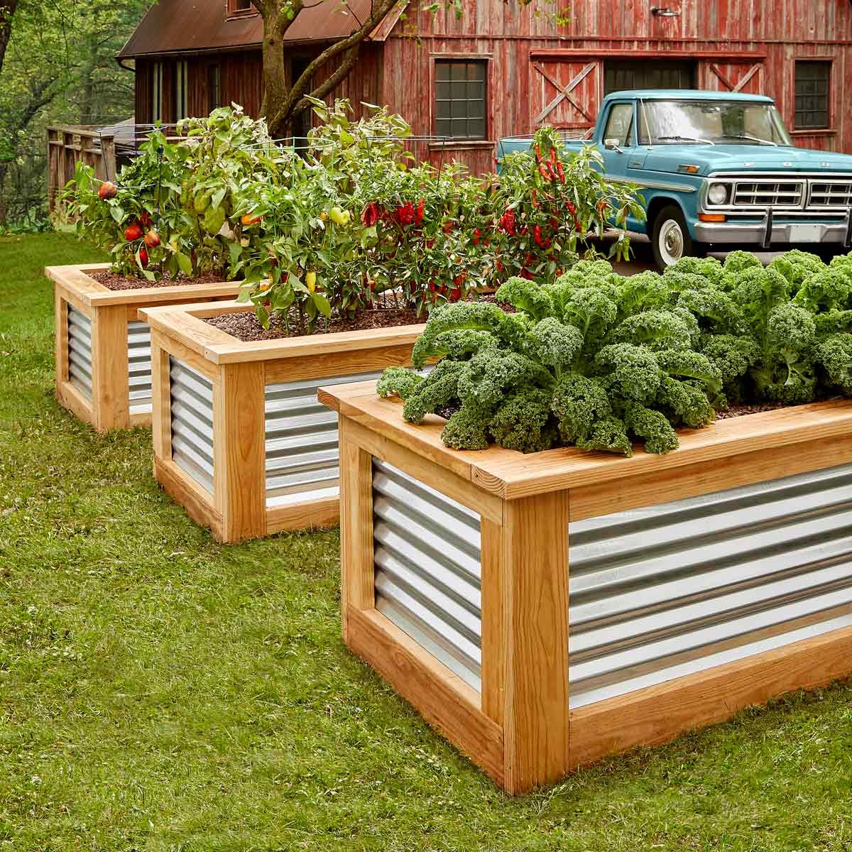 #13. DIY Raised Garden Beds with Corrugated Metal