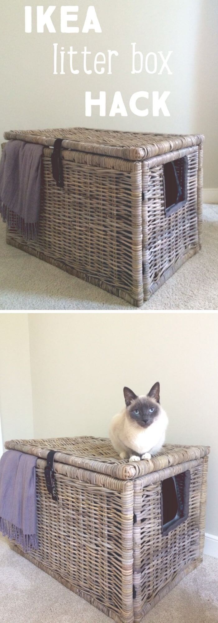 Litter box in basket