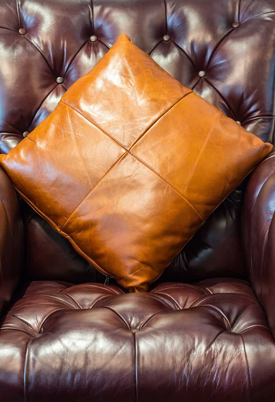 Pure Leather on Your Throw Pillows