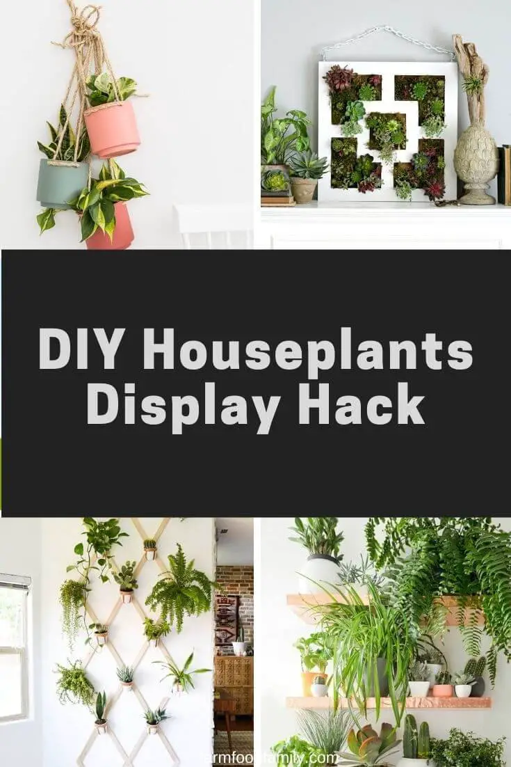 DIY Houseplants Display Hack