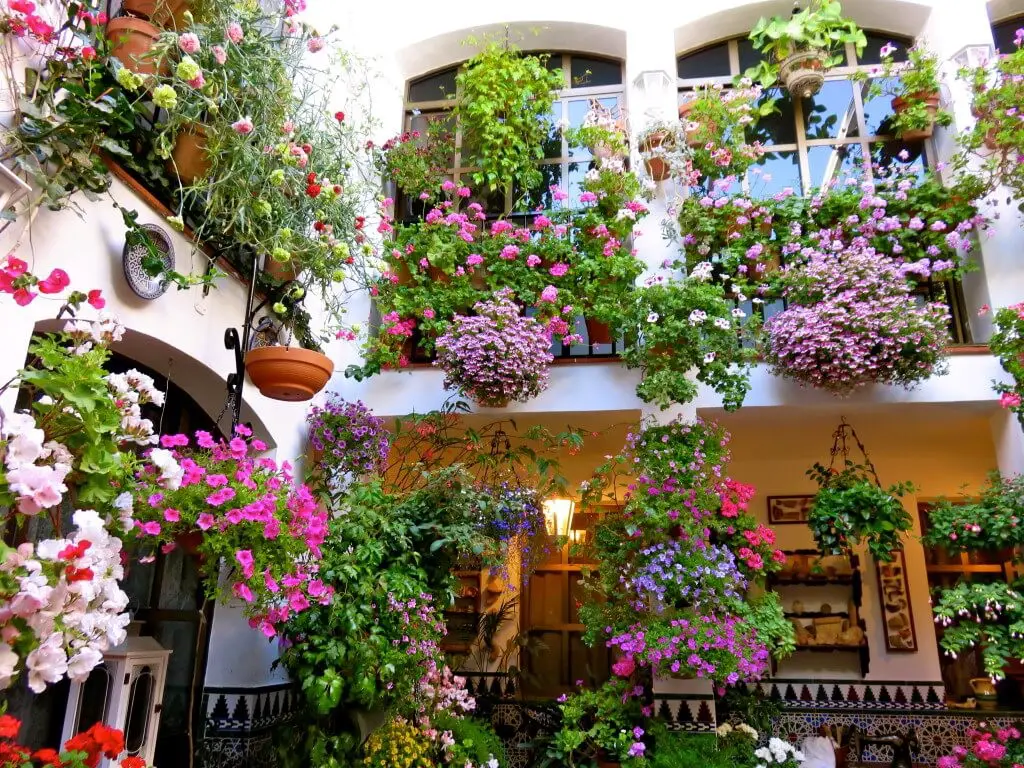 A Flowery Patio