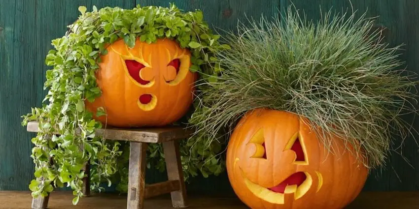 Big pumpkin carving ideas