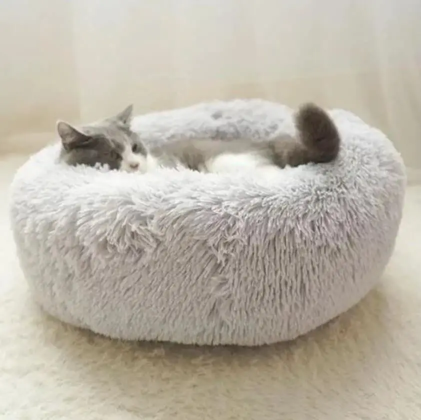 Inspire Relaxation With This Calming Pet Bed