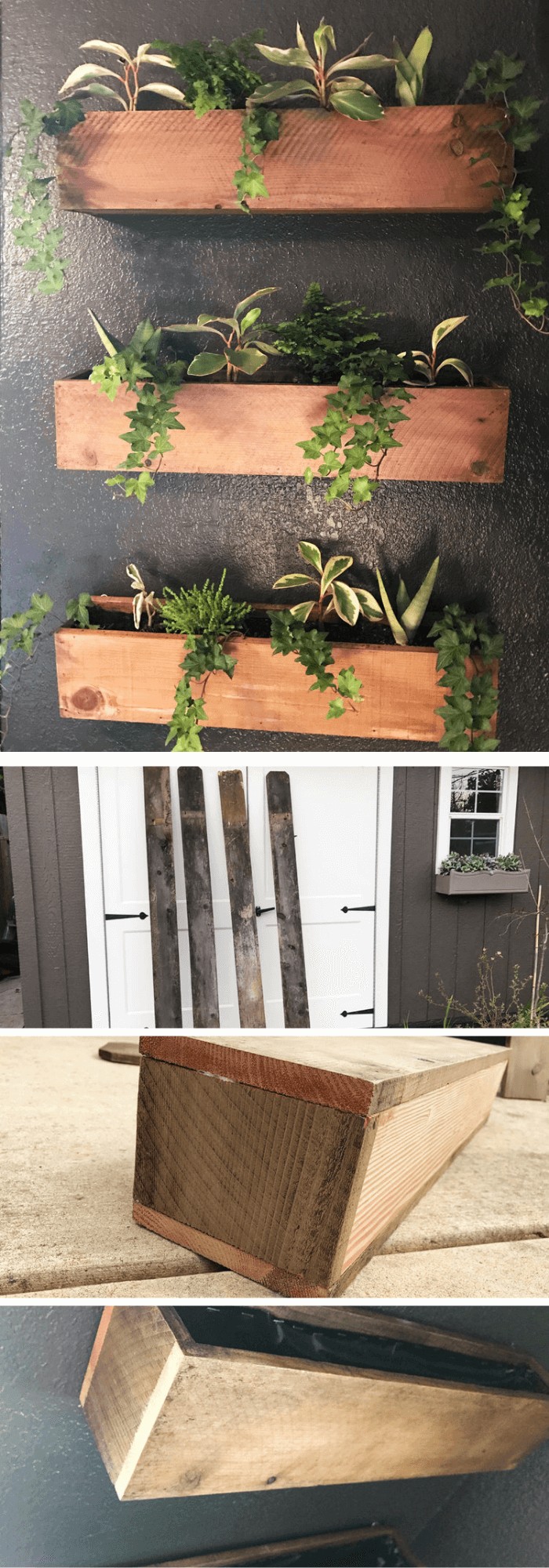 DIY Living Plant Wall