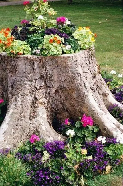 Repurposed tree trunk flower bed