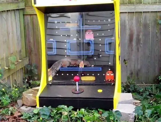 Old arcade squirrel feeder