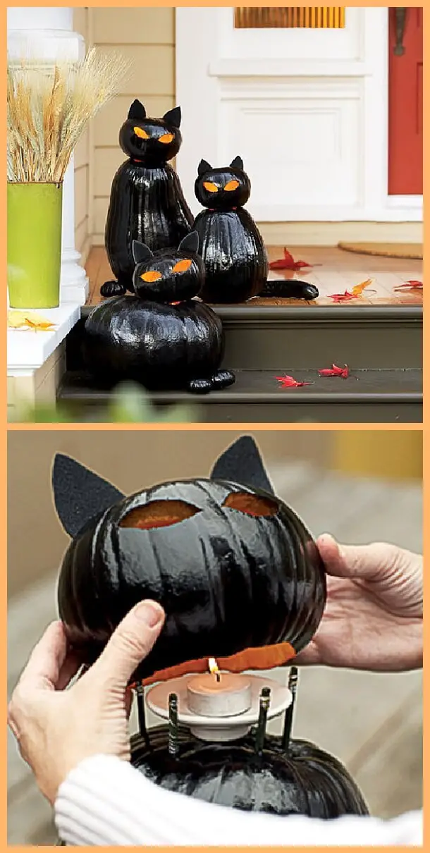 Black Cat O’Lanterns