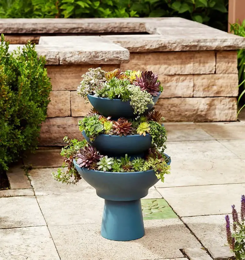 Succulent Gardens in Three Layers