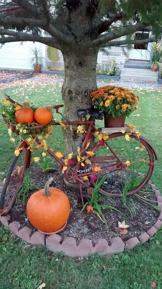 Ready for a bike ride