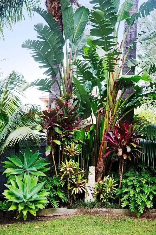 Do Have Different Types of Tropical Plants