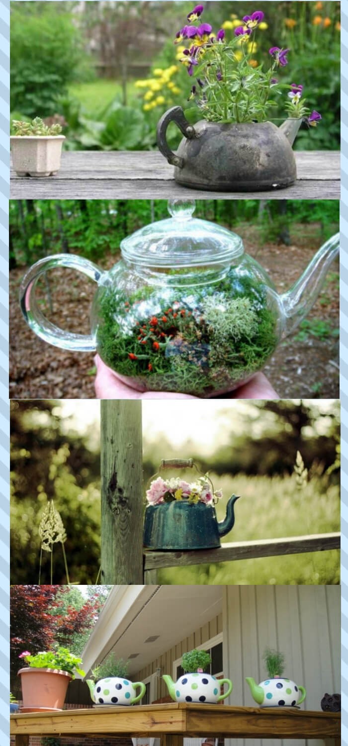 Reuse teacups