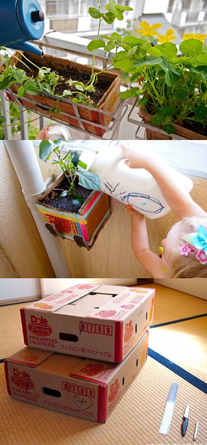 Urban Cardboard Planters