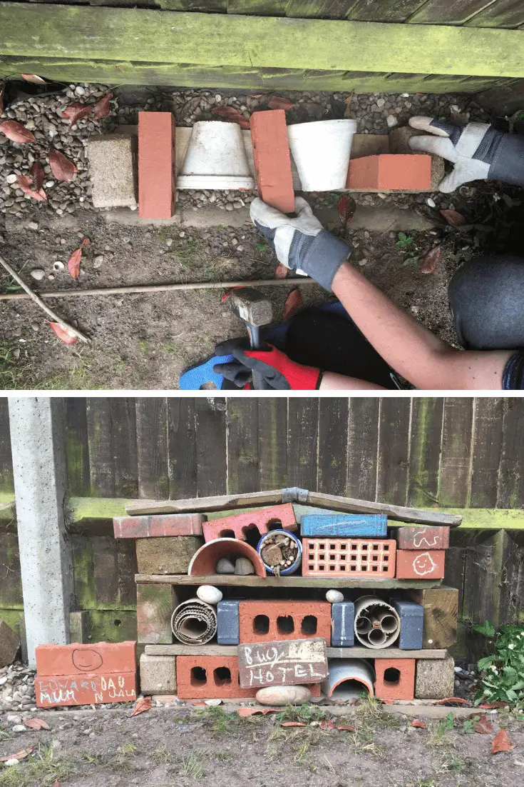 Build a bug hotel