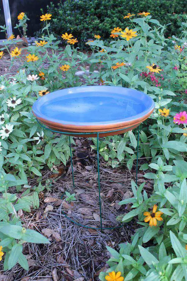 DIY Tomato Cage Bird Bath