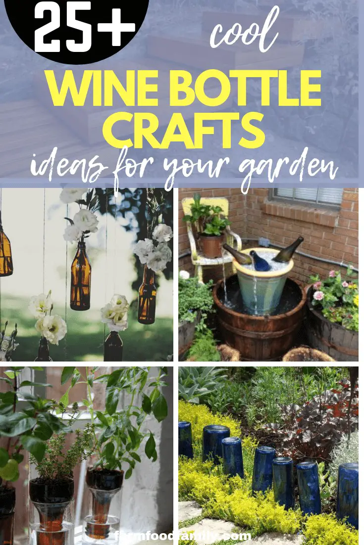 25+ Unique Wine Bottle Craft Ideas For Your Garden