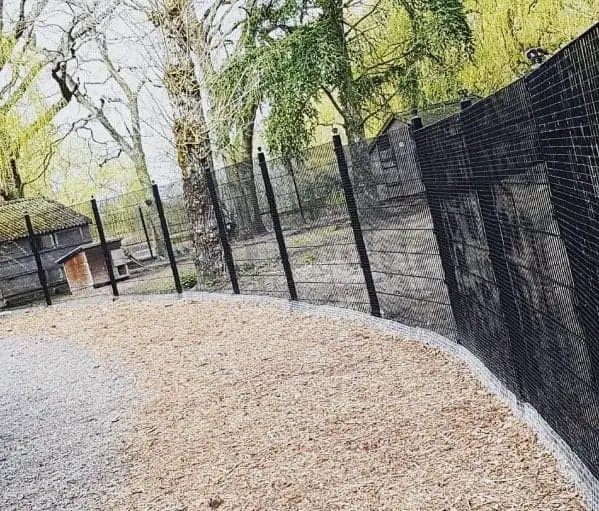 Chain link fence ideas for dogs