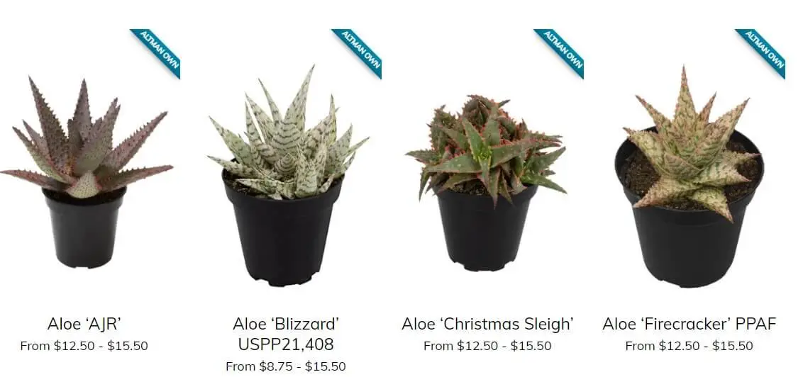 Altman Plants