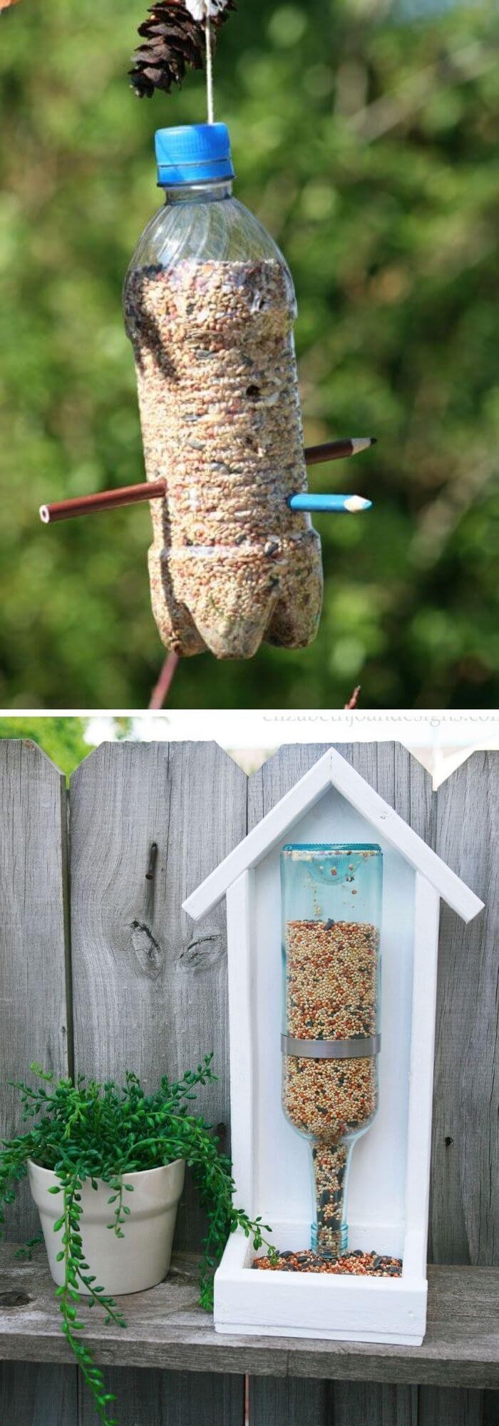 A Backyard with a Bottle Bird Feeder