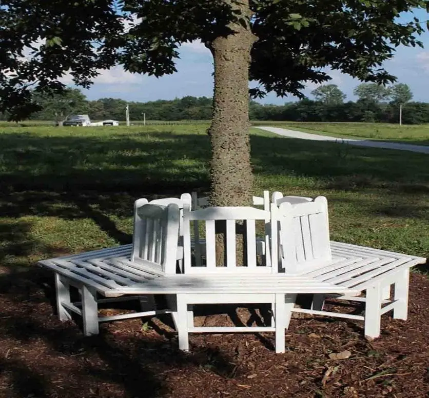 Tree wraparound garden bench