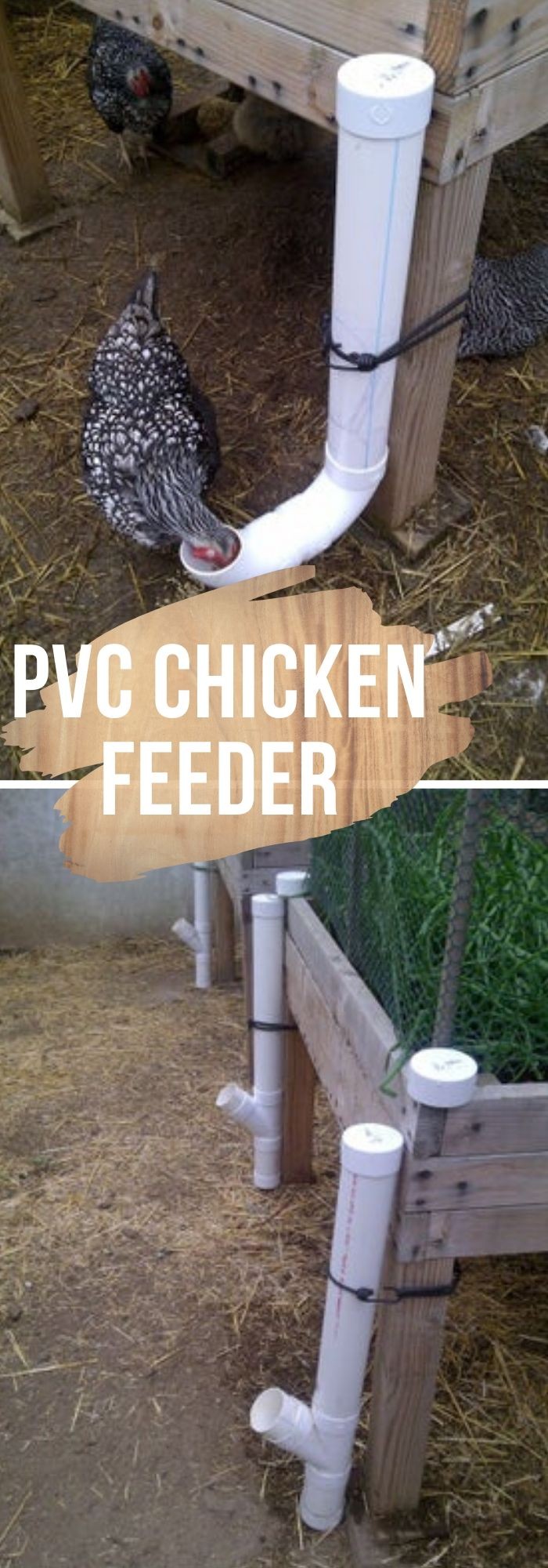 Chicken feeder