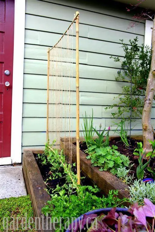 Pea support trellis