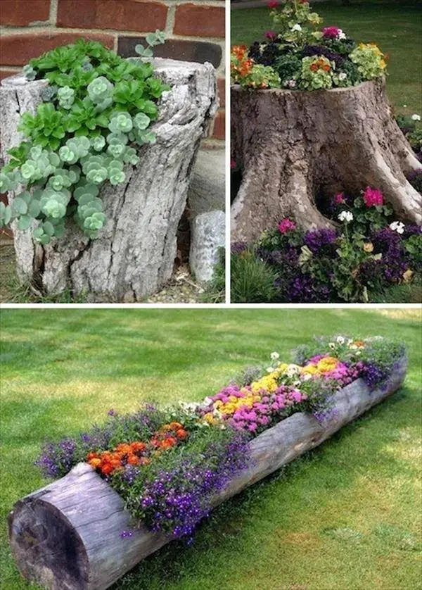 Log planter