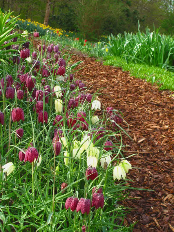 Lettered Stone Garden Path