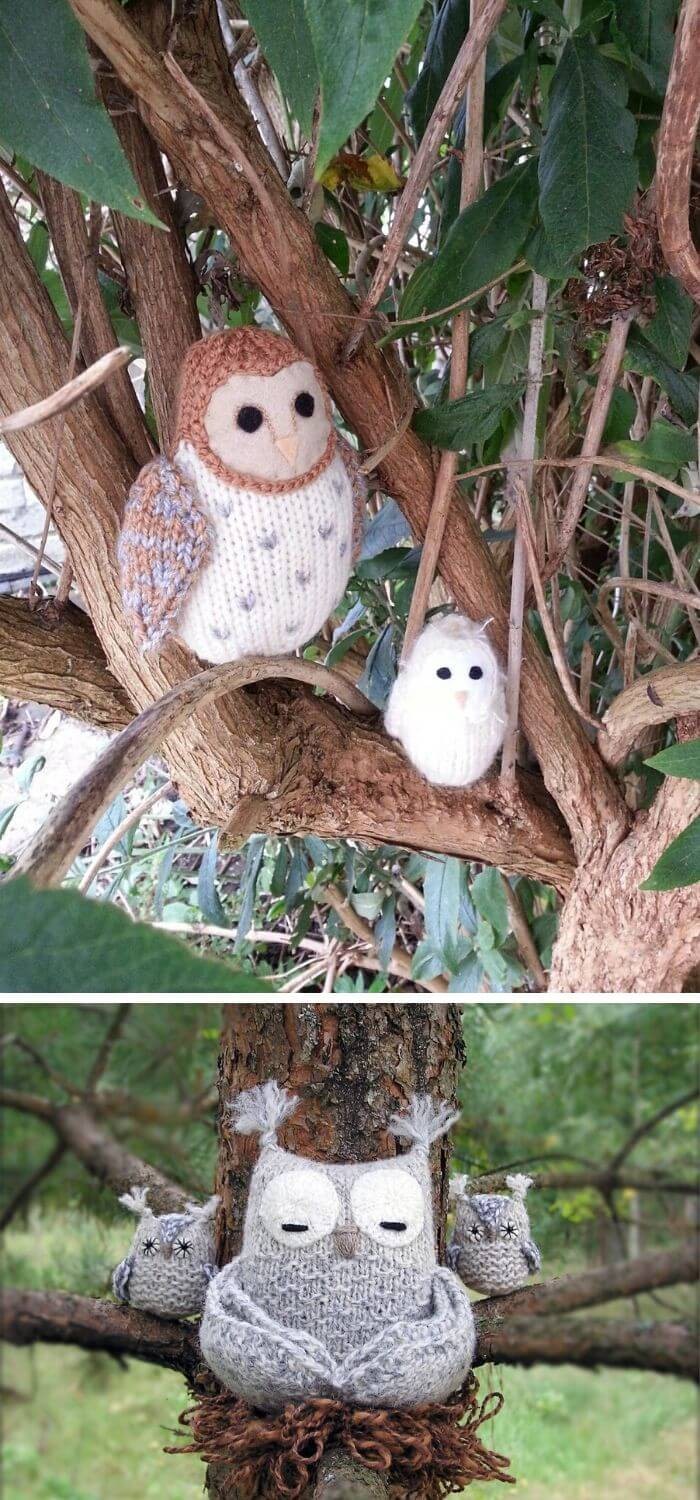 Winged owls family