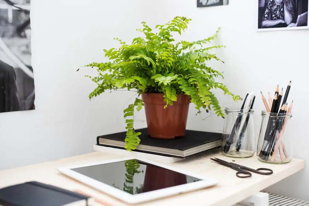 Choose a Loft-Style Desk