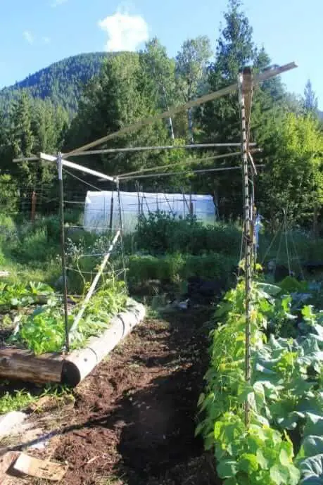 Vertical Garden Edging