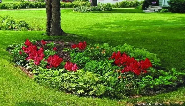 18+ Best Drainage Ditch Landscaping Ideas