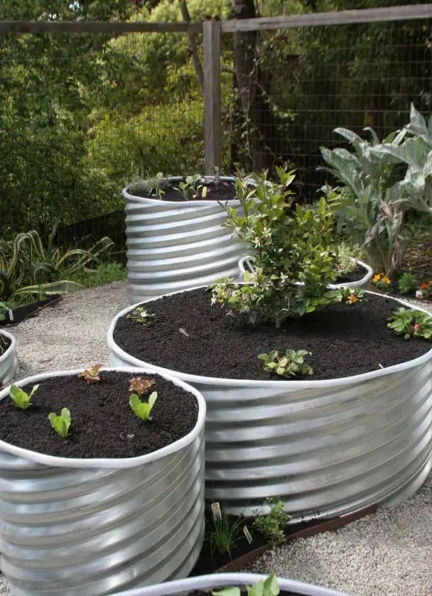 Vegetable and Herb Gardens