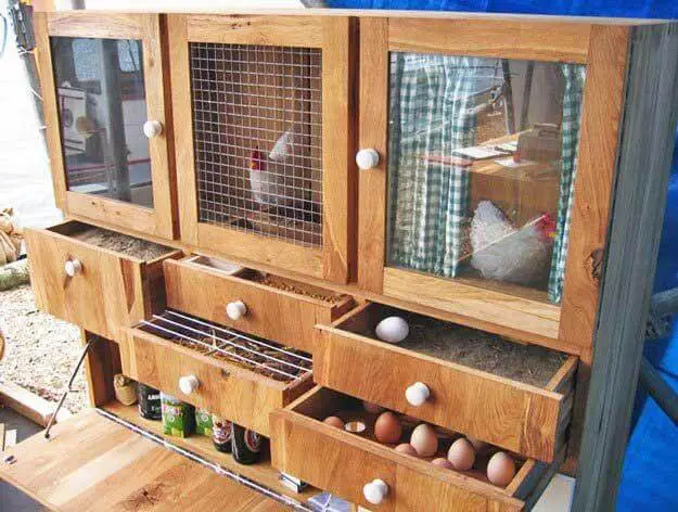 Dual purpose chicken coop