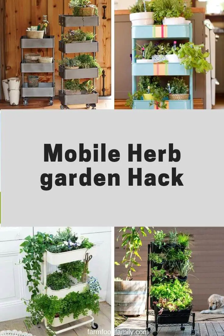 Mobile Herb garden Hack