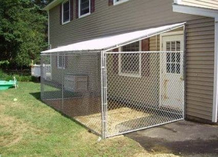 Chain link fence ideas for dogs